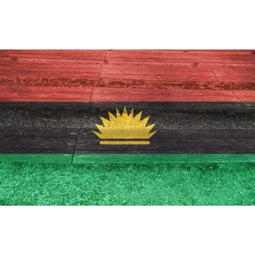 The green, black, and red flag of Biafra with a golden rising sun, symbol of the Igbo independence movement