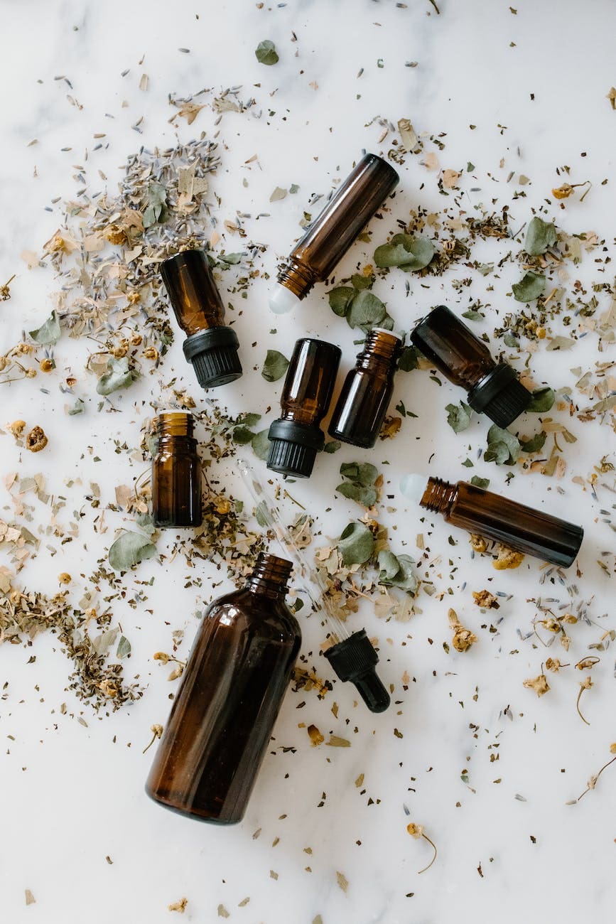 Various herbs and botanicals arranged together, representing traditional plant medicine practices across cultures